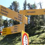 Wegweiser kurz vor der Oberalp 1548 m.ü.M.