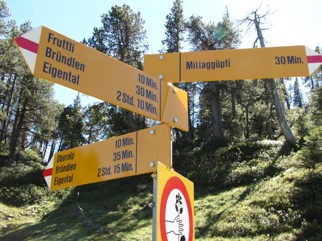 Wegweiser kurz vor der Oberalp 1548 m.ü.M.