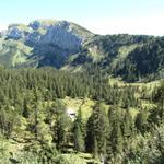 die Alphütten bei der Oberalp