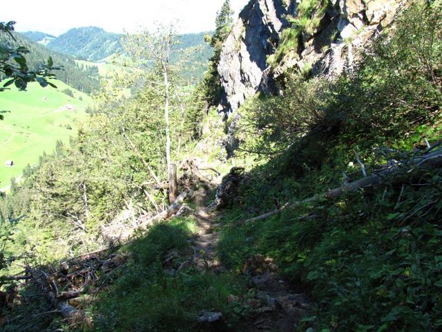 ab hier führt der Weg nur noch steil abwärts ins Eigental