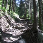 auf dem Weg nach Ober Lauelen. Hier ist der Weg ein bisschen rauf und vor allen steil