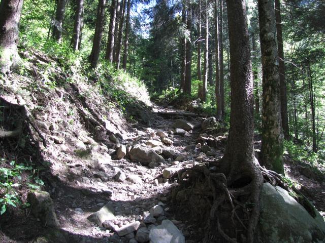 auf dem Weg nach Ober Lauelen. Hier ist der Weg ein bisschen rauf und vor allen steil