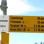 Wegweiser bei Ober Lauelen 1332 m.ü.M.