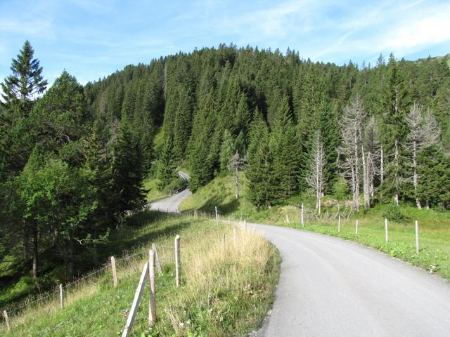 über eine Asphaltstrasse wandern wir Richtung Schnabel