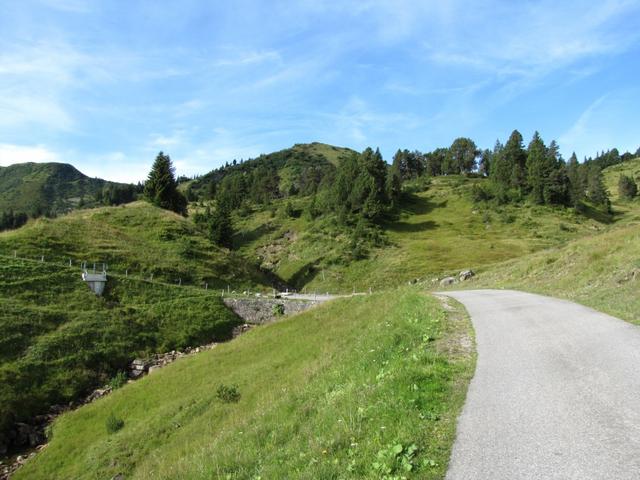 bei Schnabel, kurz vor Punkt 1660 m.ü.M. wo wir rechts abbiegen