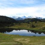 der Sewenseeli. Im Hintergund die Berner Bergriesen, wie z.B. der Eiger