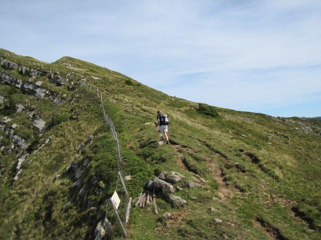 Mäusi auf dem Weg zum Fürstein