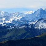 grandioses Breitbildfoto zu den Berner Alpen