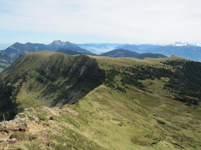 am Grat entlang, bis zu den Föhren, wird unser weiterer Wegverlauf sein