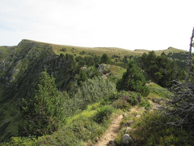 der schöne Wanderweg führt alles der Krete entlang