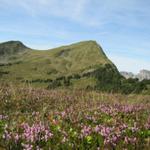 Blick zurück zum Fürstein