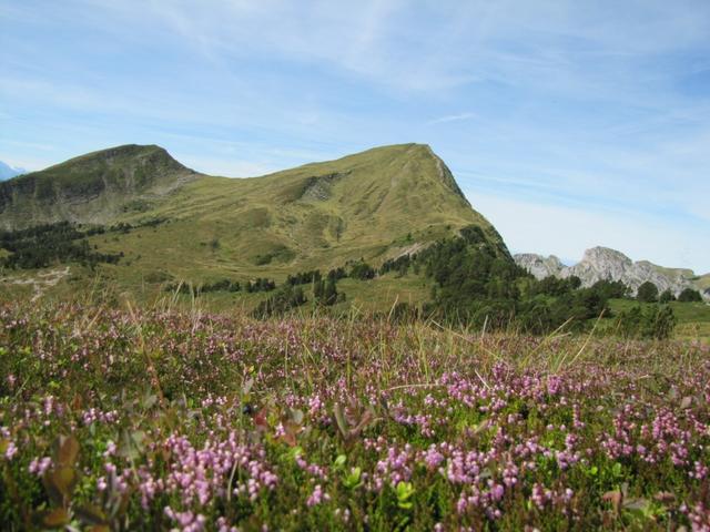 Blick zurück zum Fürstein