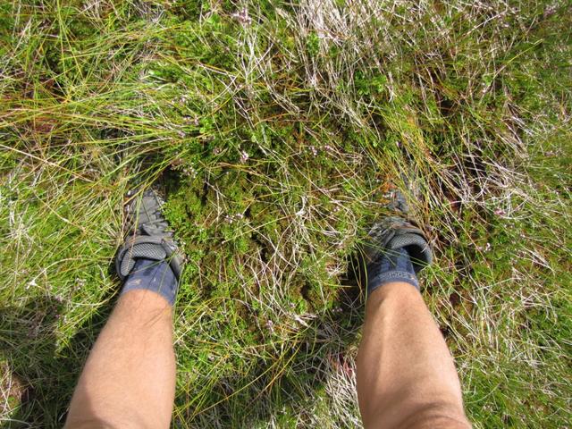 die Wanderschuhen versinken in der Moorlandschaft