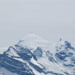 Blick zum Titlis