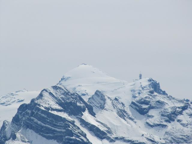 Blick zum Titlis