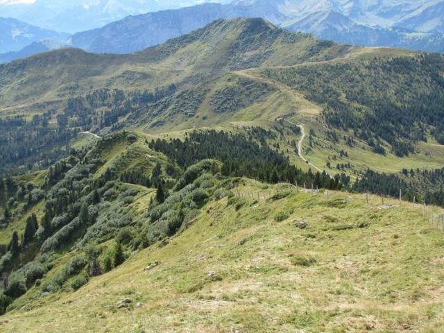 unser weiterer Wegverlauf zur Sewenegg