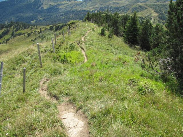 auf dem Sewenegggrat führt unser Weg nun abwärts zur Sewenegg