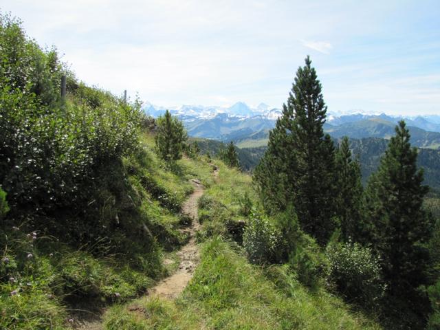 dieses Teilstück, ist der schönste der ganzen Wanderung