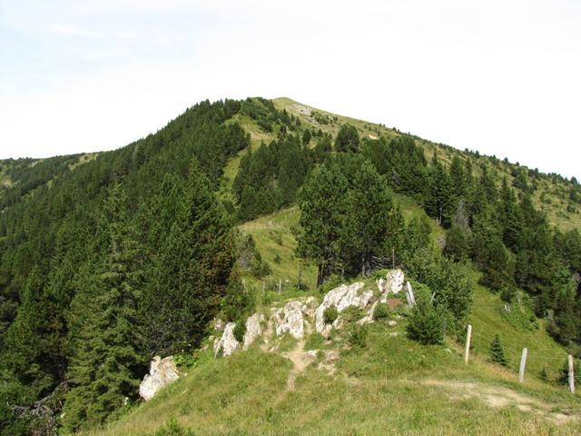 Blick zurück zum Rickhubel