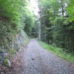 die ersten 50 Minuten läuft man auf dieser Forststrasse im Wald "Stafelwand" aufwärts bis zu Punk 1300 m.ü.M.