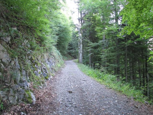 die ersten 50 Minuten läuft man auf dieser Forststrasse im Wald "Stafelwand" aufwärts bis zu Punk 1300 m.ü.M.