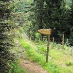 hier biegt man links ab. Geradeaus würde man zur Steinhüttli gelangen