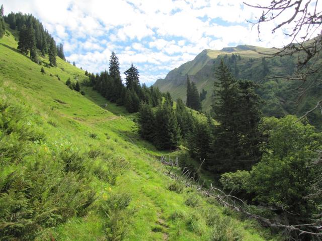 links am Bachtobel, führt der Weg nach Schärmen