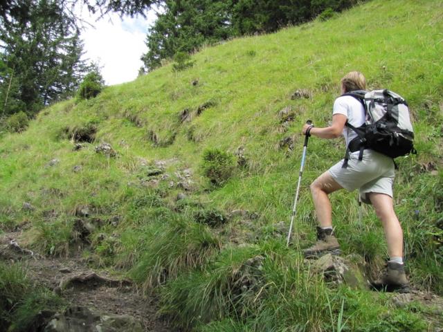 es geht nur aufwärts. Den ganzen Weg