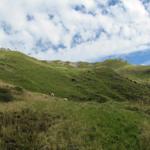 Blick hinauf. Links Alp Obergross, rechts schaut der Diethelm hervor