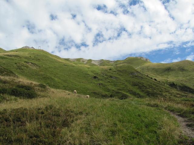 Blick hinauf. Links Alp Obergross, rechts schaut der Diethelm hervor