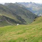 Blick abwärts zur Alphütte Obergross