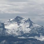 Blick zum Schärhorn