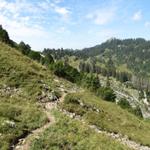 wir haben die Fluebrigalp hinter uns gelassen und wandern nun Richtung Fläschlihöchi