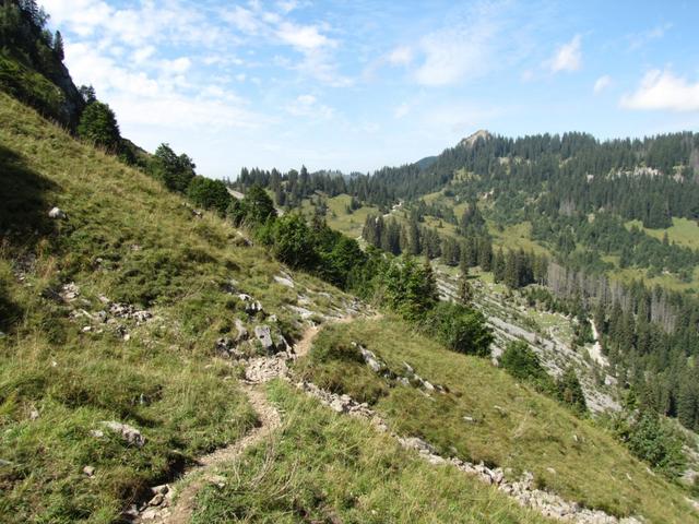 wir haben die Fluebrigalp hinter uns gelassen und wandern nun Richtung Fläschlihöchi