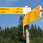 Wegweiser bei Fläschlihöchi 1368 m.ü.M. Übergang vom Wägital ins Sihltal