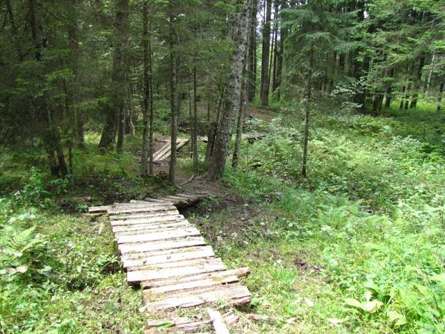 kurz vor der Sihltalhütte