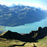 Breitbildfoto von der Terrasse aus gesehen runter zum Brienzersee