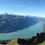 der sehr schöne Brienzersee, wird uns fast den ganzen Tag begleiten