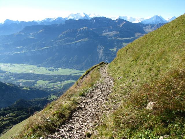 der Bergpfad ist super erstellt und wird perfekt unterhalten