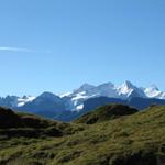 Blick Richtung Wetterhorn, Schreckhorn usw.