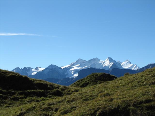 Blick Richtung Wetterhorn, Schreckhorn usw.