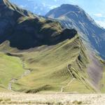 gut ersichtlich der Weg der nach Schönbüel führt