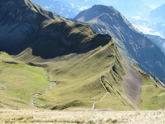 gut ersichtlich der Weg der nach Schönbüel führt