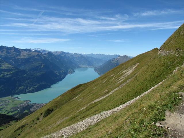 und immer wieder der Brienzersee