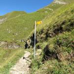 Blick zurück zum Wegweiser bei Punkt 2072 m.ü.M.