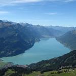 Blick zum Brienzersee