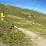 Breitbildfoto bei der Wegkreuzung 2011 m.ü.M. beim Berggasthaus Schönbüel. Links Gibel, rechts Biet