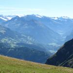 Blick nach Meiringen, Innertkirchen. Im Hintergrund, Triftgletscher, Dammastock usw.