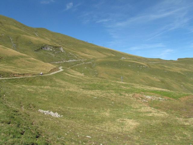 auf einfachem Wanderweg verlassen wir Schönbüel