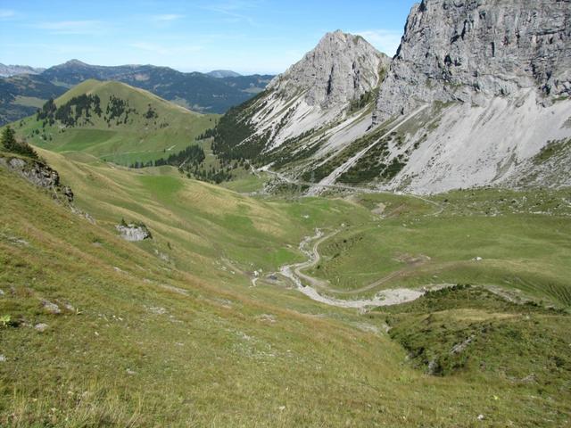 der Weg der uns nach Jänzimatt bringen wird